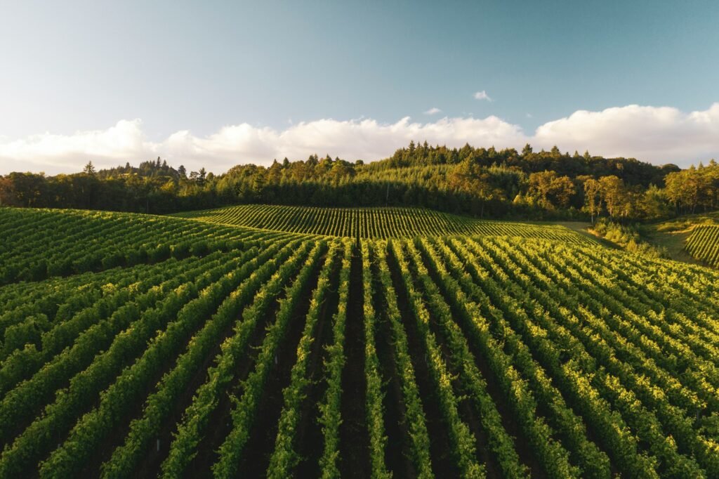 dan meyers 0AgtPoAARtE unsplash