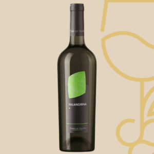 Campania Falanghina I.G.T. 2025 – Terre di Valter – Italiaanse witte wijn